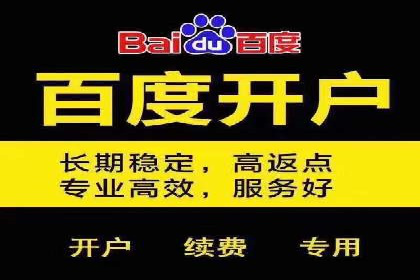 百度优化推广案例：关键词优化与SEO策略